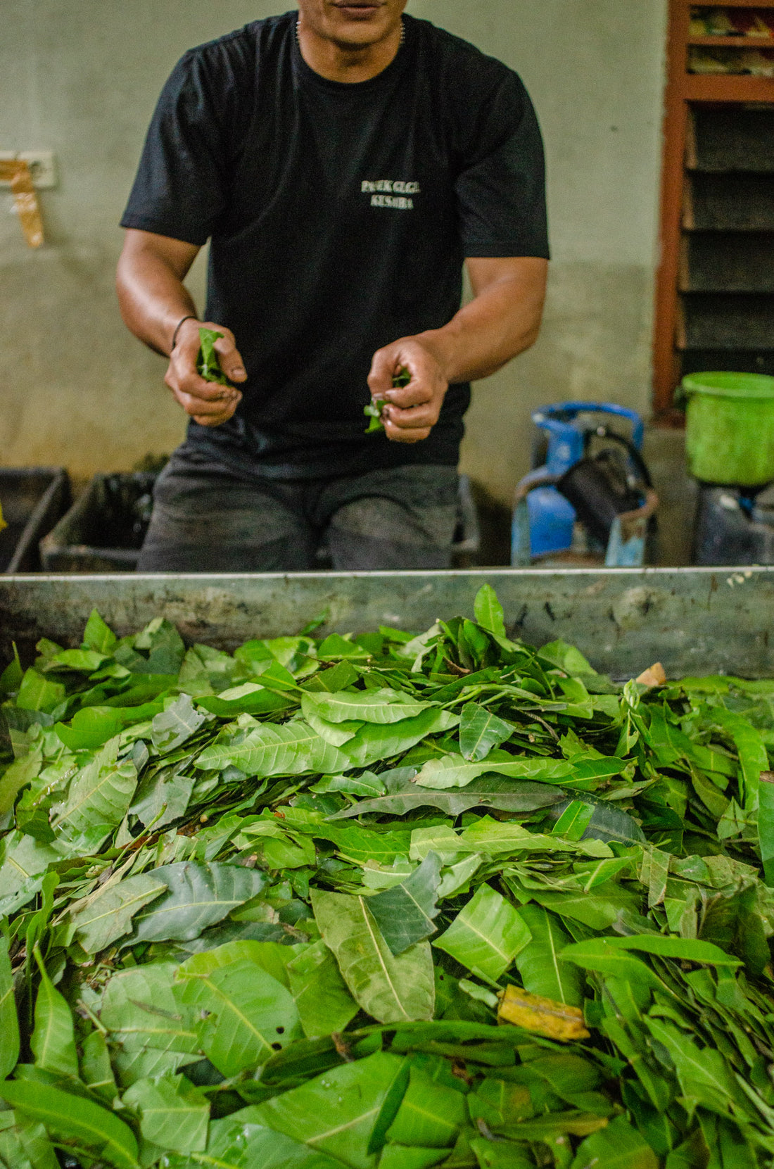 The Value of Plant Dyed Clothing